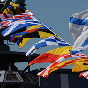 Флаги МСС и ВМСС